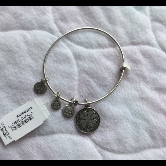 Alex and Ani Jewelry - Alex and Ani bracelet